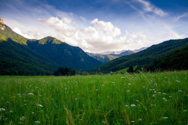 Lush green meadow with wildflowers in the foreground, surrounded by forested mountains under a dramatic sky with soft clouds and golden sunlight.