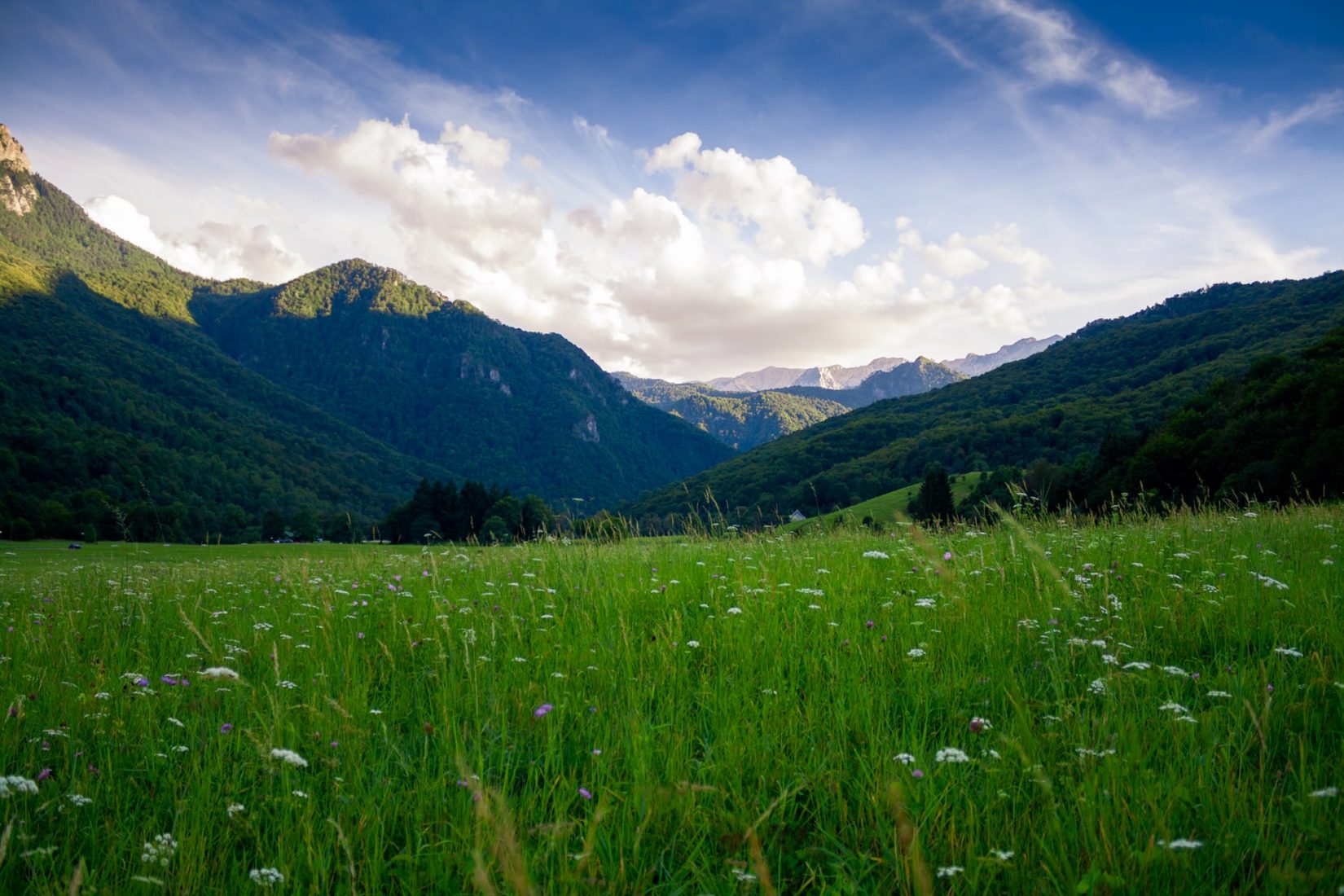 Lush green meadow with wildflowers in the foreground, surrounded by forested mountains under a dramatic sky with soft clouds and golden sunlight.
